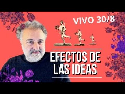 Efectos de las ideas