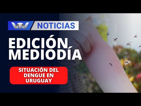 Edición Mediodía 13/03 | Situación del dengue en Uruguay