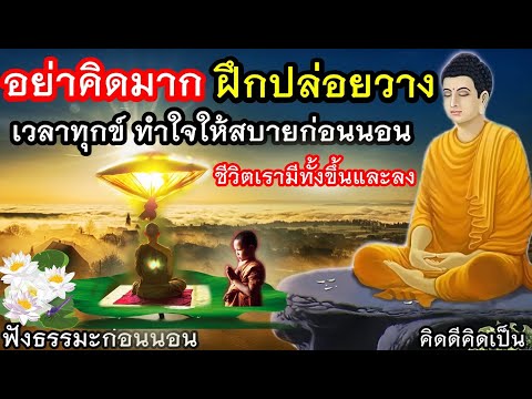 ฟังธรรมะก่อนนอนเวลาทุกข์ไม่ท