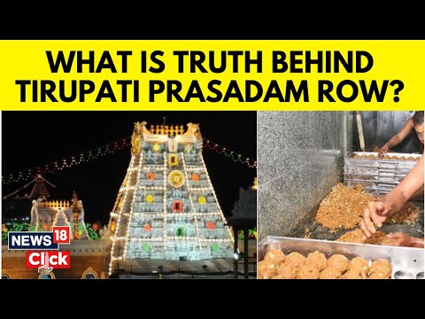 Tirumala Tirupati Laddu Row : Who Supplied Ghee And Who Said What? Controversy Explained | N18V