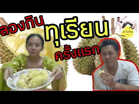 ทุเรียนหมอนทองลองกินครั้งแรก ทุเรียนหมอนทองลองกินครั้งแรก