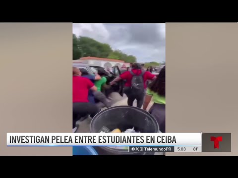 Investigan violento altercado entre estudiantes en Ceiba