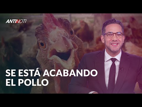 La República Dominicana Se Queda Sin Pollo | El Antinoti