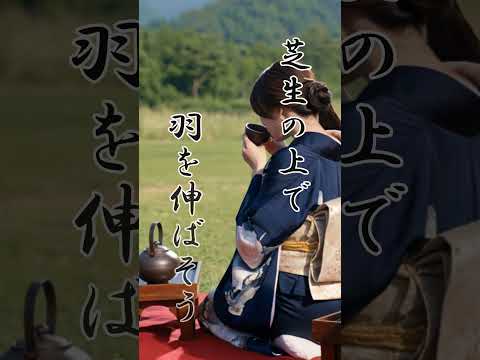 『芝生の上で 羽を伸ばそう…』 楽曲：野点日和 / しなと藤 #music