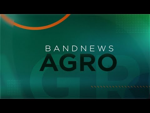 Samanta Pineda: Lei antidesmatamento da UE aende luz amarela no Brasil | BandNews TV