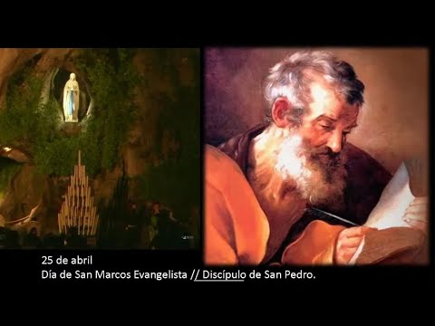 Rezo del Santo Rosario desde Lourdes. Hoy 24 de abril de 2024.