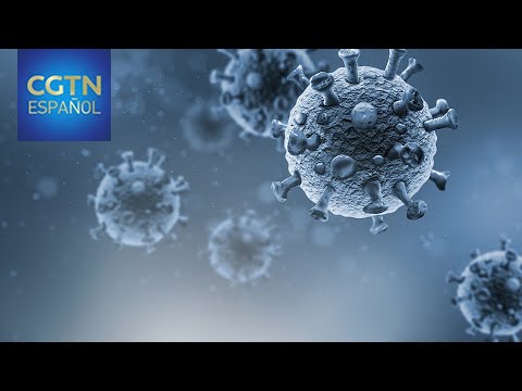 Los casos de nuevo coronavirus superan los 40 millones a nivel mundial