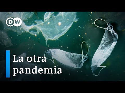 La pandemia y su impacto medioambiental