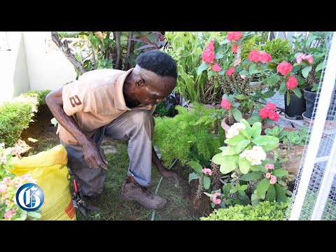 Self-taught amputee finds joy in gardening