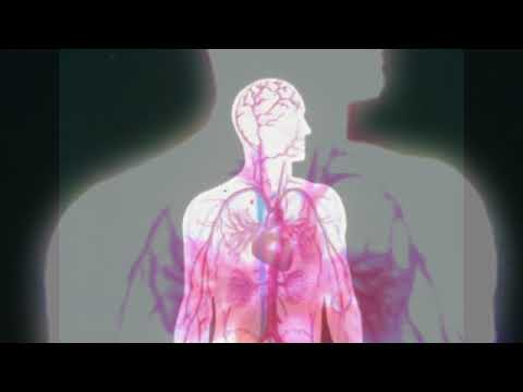 Firestations Concert Tickets - 2026 Tour Dates