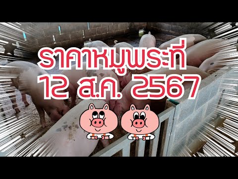 ราคาหมูพระที่12ส.ค.2567ธนสา