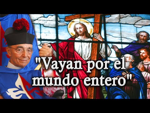 El #Sacerdocio: La Palabra ya no será retenida... | Mons. João Clá #Sacerdote