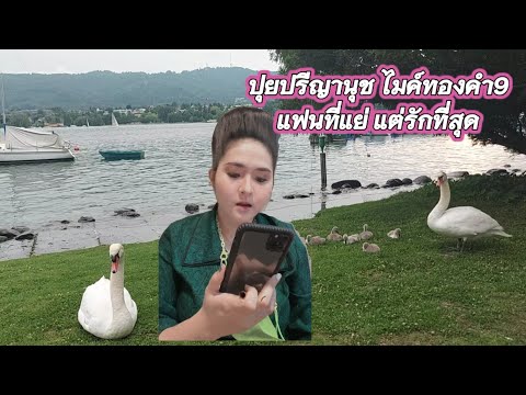 แฟนที่แย่-แต่รักที่สุด-ปุยปรีญ แฟนที่แย่-แต่รักที่สุด-ปุยปรีญ