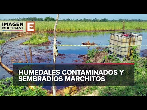 Tabasco: Derrames de hidrocarburo en Nacajuca con gran impacto ambiental