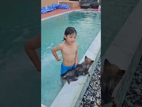 ว่ายน้ำกันน้องหมาของบัตเตอร์