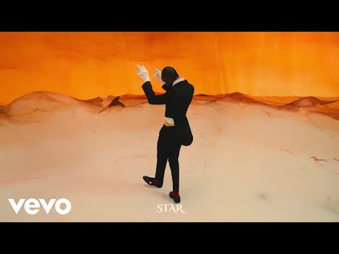 Black Sherif - PopStar (Official Visualizer)