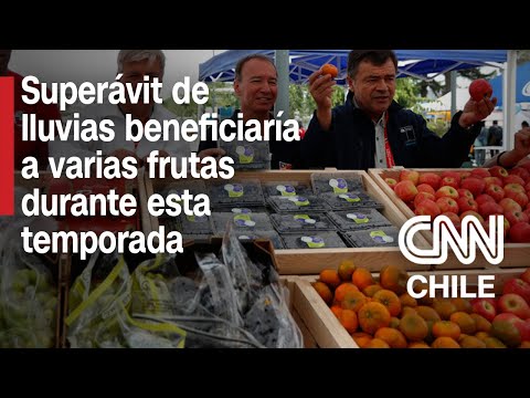 Lanzan nueva temporada de fruta chilena