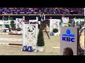 Show jumping horse Knap hengsten veulen