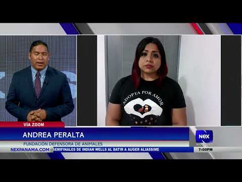 Entrevista a Andrea Peralta Fundación Defensa de Animales y la violación de una perrita por su dueño