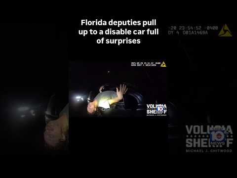 Florida deputies pull up to a disable car full of surprises