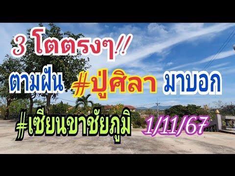 3โตตรงๆตามฝันปู่ศิลามาบอก