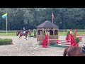 障碍赛马匹 7-jarig springpaard Merrie
