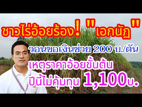 สหพันธ์ชาวไร่ฯขยับหลังราคาอ้อย