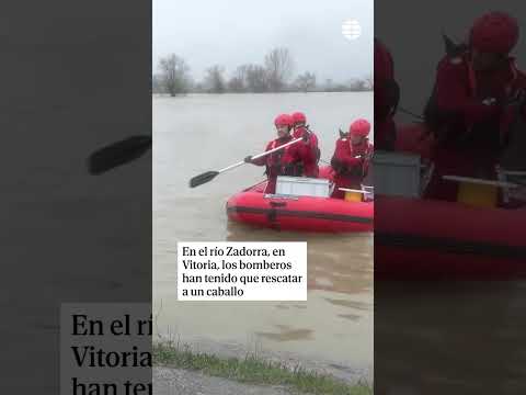 Los bomberos rescatan un caballo atrapado por un desbordamiento por las intensas lluvias en Vitoria