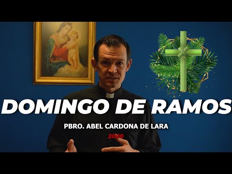 DOMINGO DE RAMOS//Reflexión por el Padre Abel Cardona