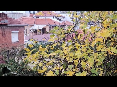 Lluvia Torrencial en Tirana Albania EN VIVO