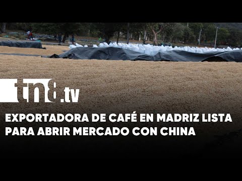 Cooperativa exportadora de café en Madriz lista para abrir mercado con China