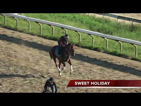 Jason Lisboa habla sobre SWEET HOLIDAY - Clásico Día de la Raza