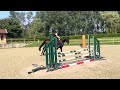 حصان القفز Equitation/ amateur very brave horse