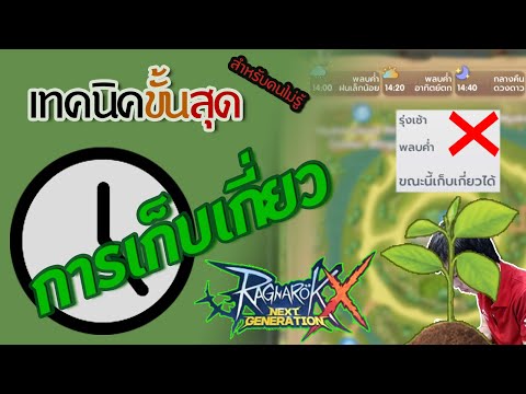 ROX-เทคนิคขั้นโคตรสุด-การเก็บเ ROX-เทคนิคขั้นโคตรสุด-การเก็บเ