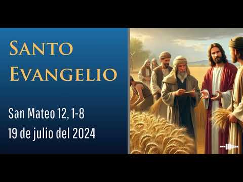 Evangelio del 19 de julio del 2024 según Mateo 12, 1-8