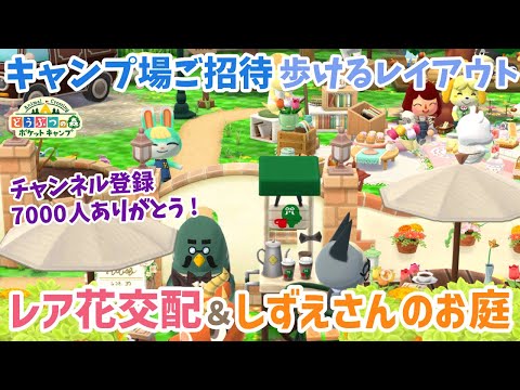 【ポケ森】キャンプ場ご招待＆レア花交配企画！チャンネル登録7000人ありがとうございます！【どうぶつの森ポケットキャンプ】