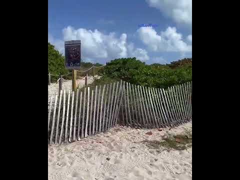 Cierran varios accesos a la playa en Miami Beach por el Spring Break