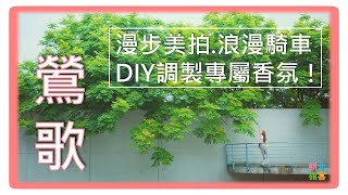 莺歌最浪漫约会！私房景点路线大公开！