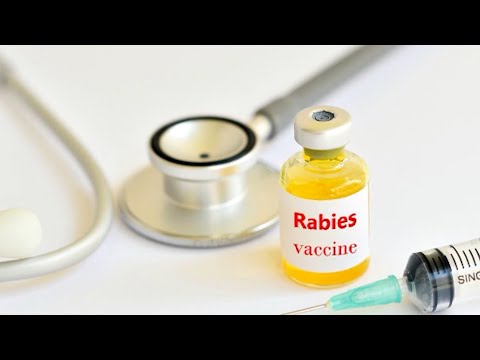 Health Check – World Rabies Day