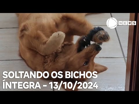 Soltando os Bichos - 13/10/2024