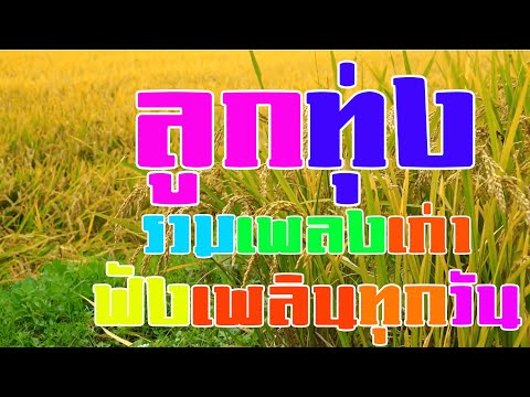 รวมเพลงลูกทุ่งเพลงเก่า