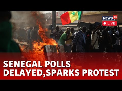 Election News | Senegal Presidential Election Live Updates | Senegal News Live | Elections Delayed