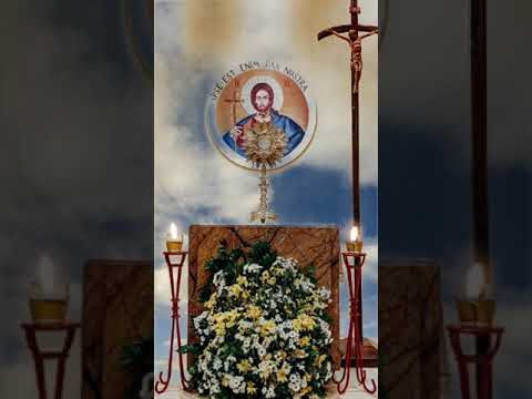 CINCO MINUTOS CON JESÚS SACRAMENTADO   Domingo 22 de Septiembre de 2024