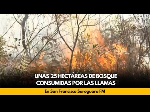 Unas 25 hectáreas de bosque consumidas por las llamas, en San Francisco Soroguara FM