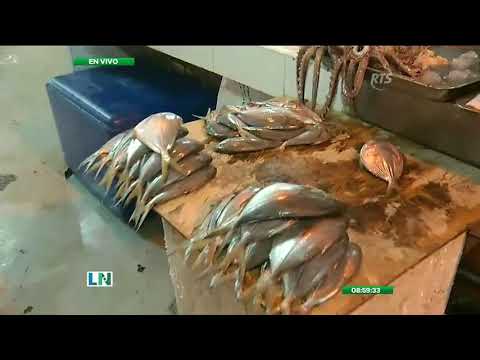 Aumenta el precio de los mariscos en el Mercado Caraguay