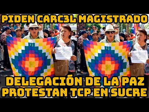 AUTOCONVOCADOS DE LA PAZ PIDEN MANDAR CHONCHOCORO A LOS MAGISTRADOS AUTOPRORROGADOS BOLIVIA..