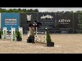 Show jumping horse GERESERVEERD