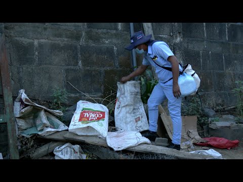 Pobladores de los barrios de Managua siguen eliminando criaderos de zancudos