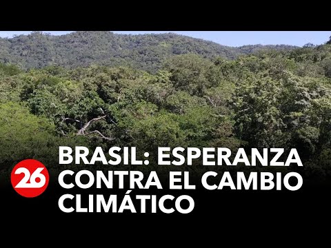 Brasil: una esperanza contra el cambio climático | #26Global