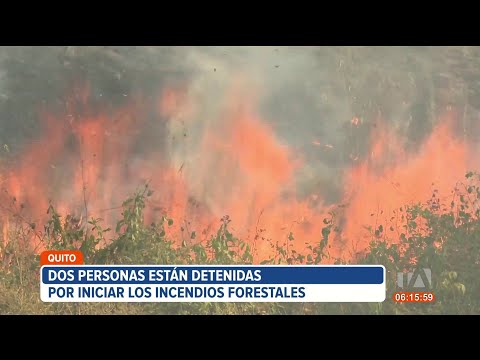 Autoridades piden a Fiscalía se investiguen a 16 personas involucradas en incendios forestales